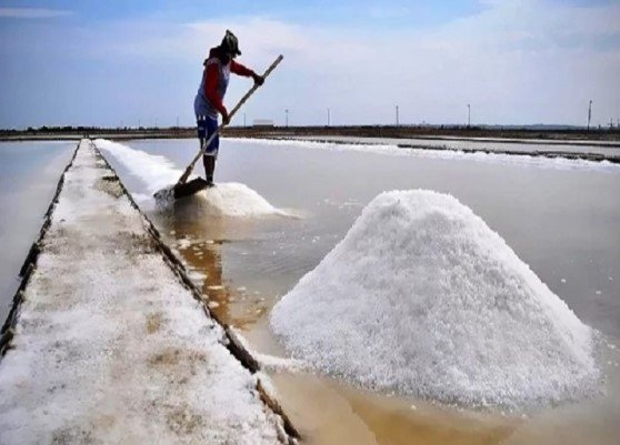 বাংলাদেশে ৬৩ বছরের মধ্যে রেকর্ড লবণ উৎপাদন